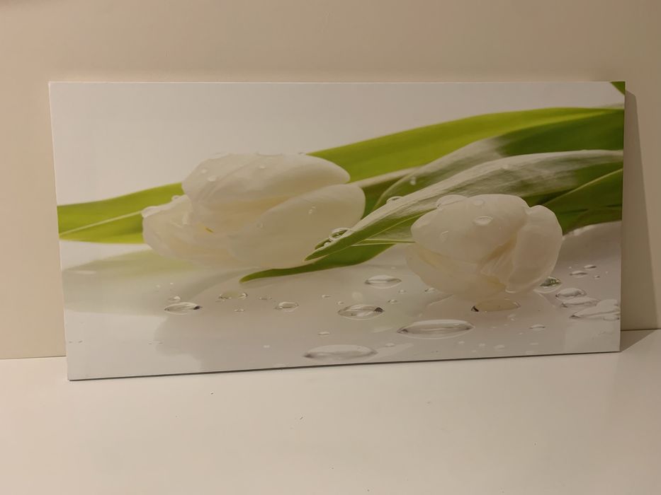Obraz tulipany panoramiczny