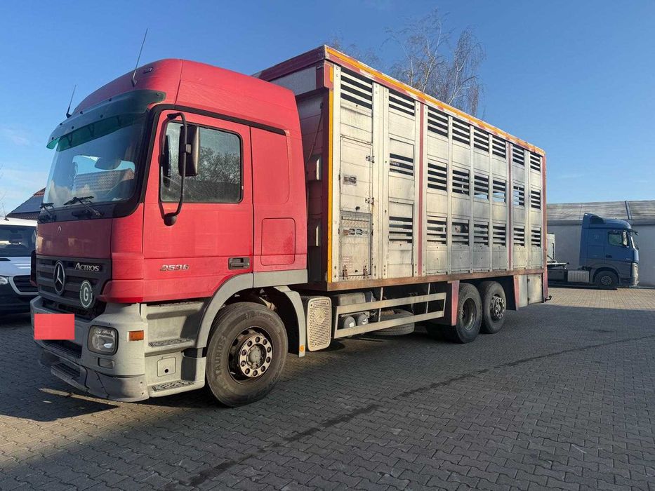 Zabudowa do przezowu żywca, żywych zwierząt, piętrowa, winda, waga.