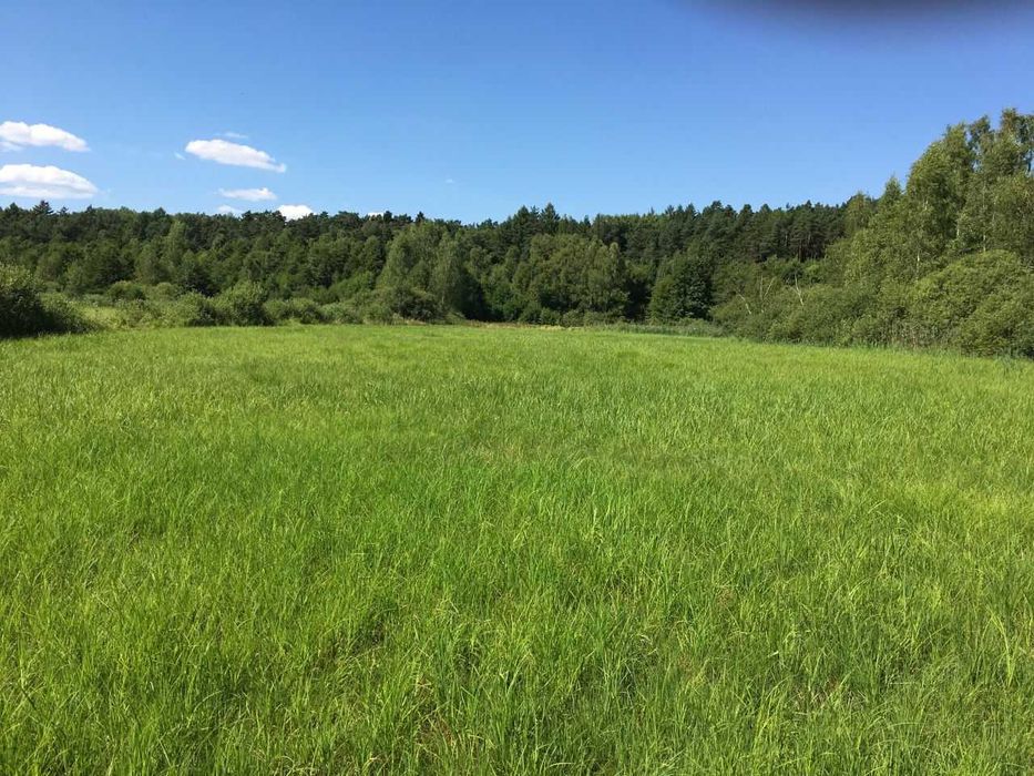 Działka rolna ŁĄKA