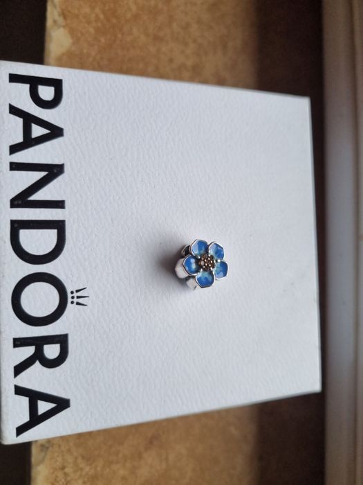 Charmsy Pandora łapacz snów o bratek Pandora