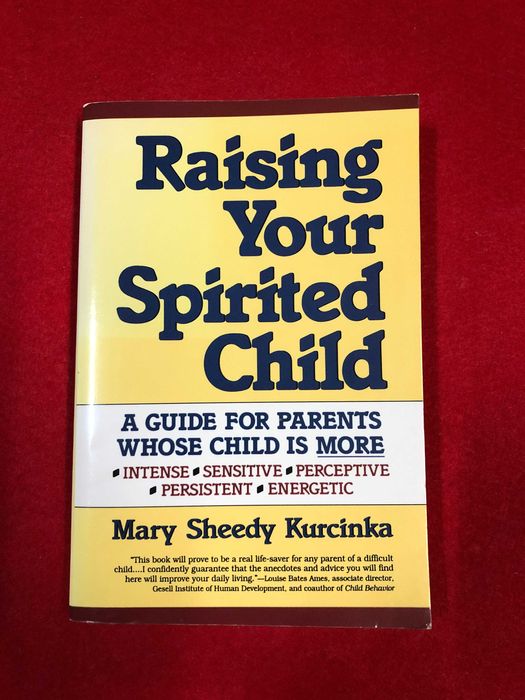 Raising your spiritual child - Mary Sheedy Kurcinka