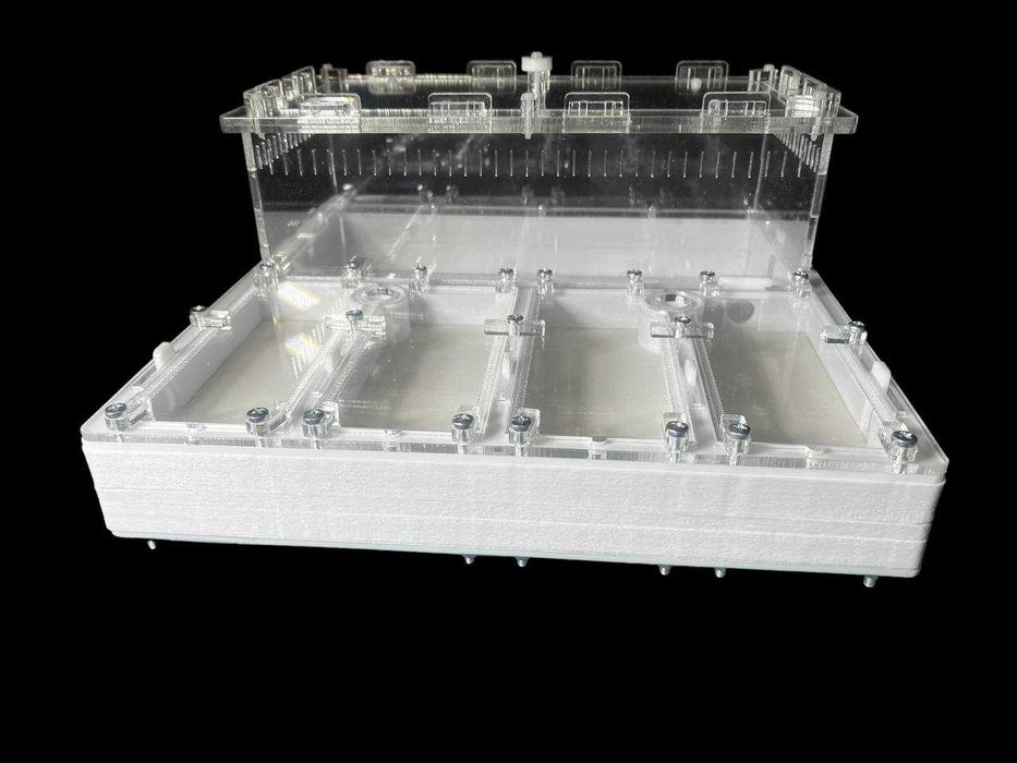 Мурашина ферма' 30×30см –  мурахи Harpegnathos | 2500 грн | нова пошта