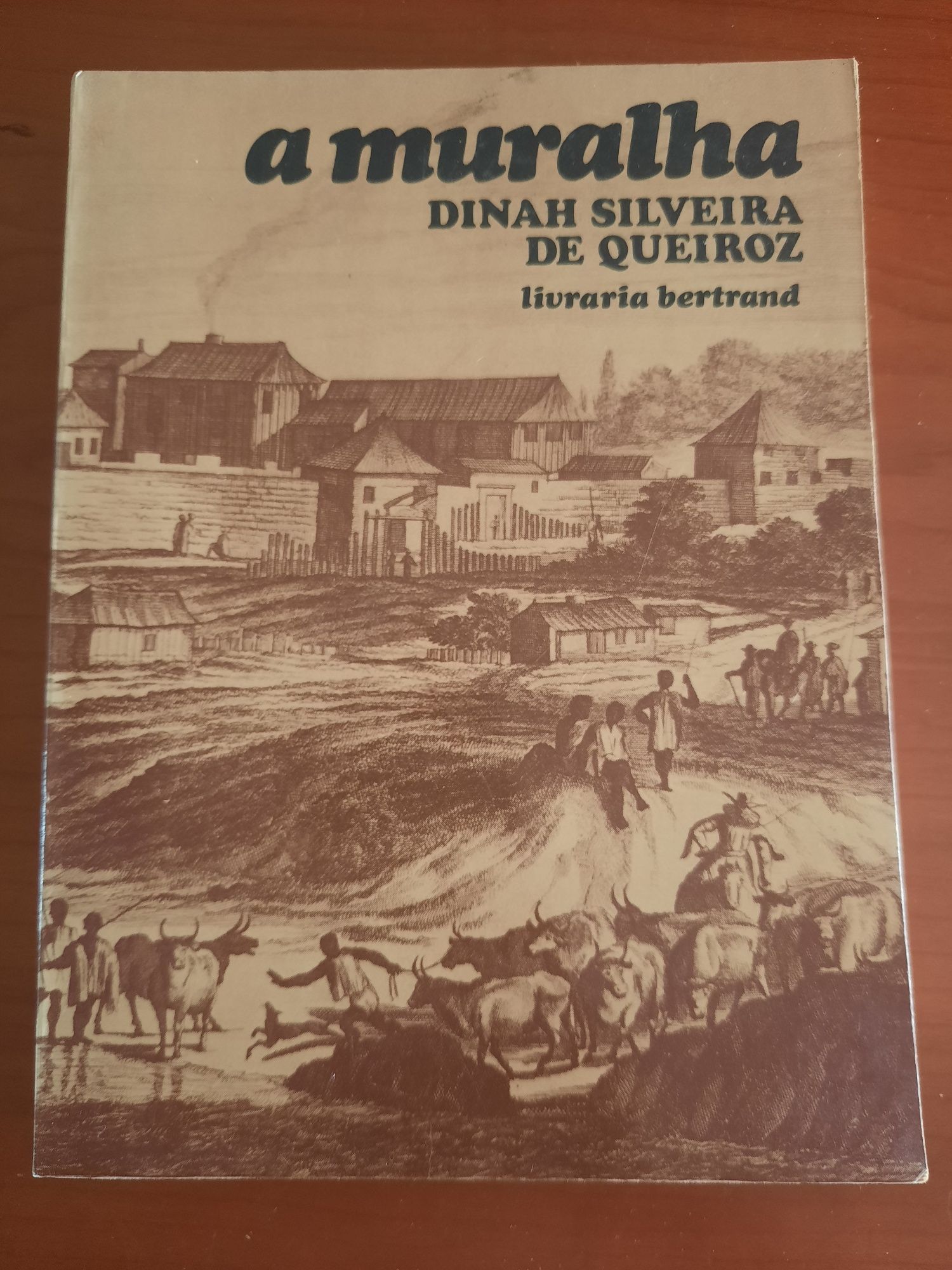 A Muralha Dinah Silveira Queiroz