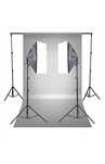ZESTAW tło 5m 2x żarówka 65W 2x softbox 4x statyw