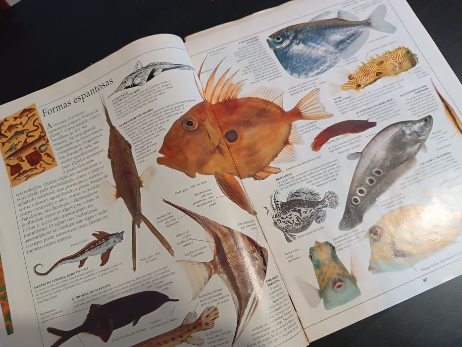 Visual Encyclopedia: Birds, Fish, and Mammals64551118366593124