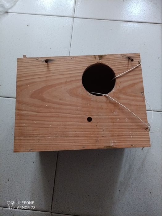 Caixa de ninho para caturras