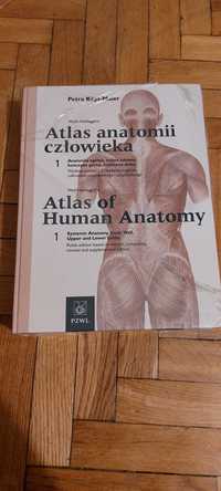 Atlas anatomii czlowieka P. Kopf-Maier