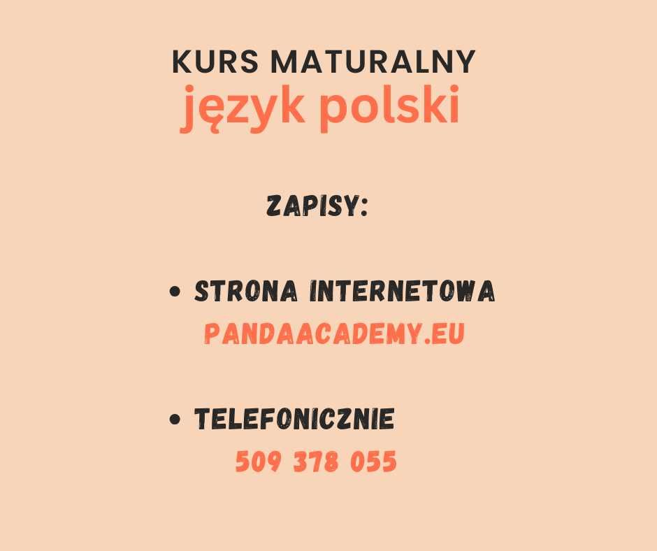 Korepetycje język polski matura online