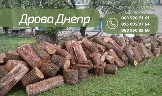 Продам Дрова Днепр от 350 грв м3