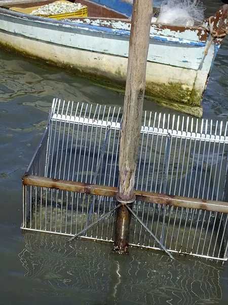 Ancinho ferro ou inox