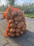 Ziemniak Denar worki 15kg