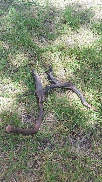 Центральная подножка скутер