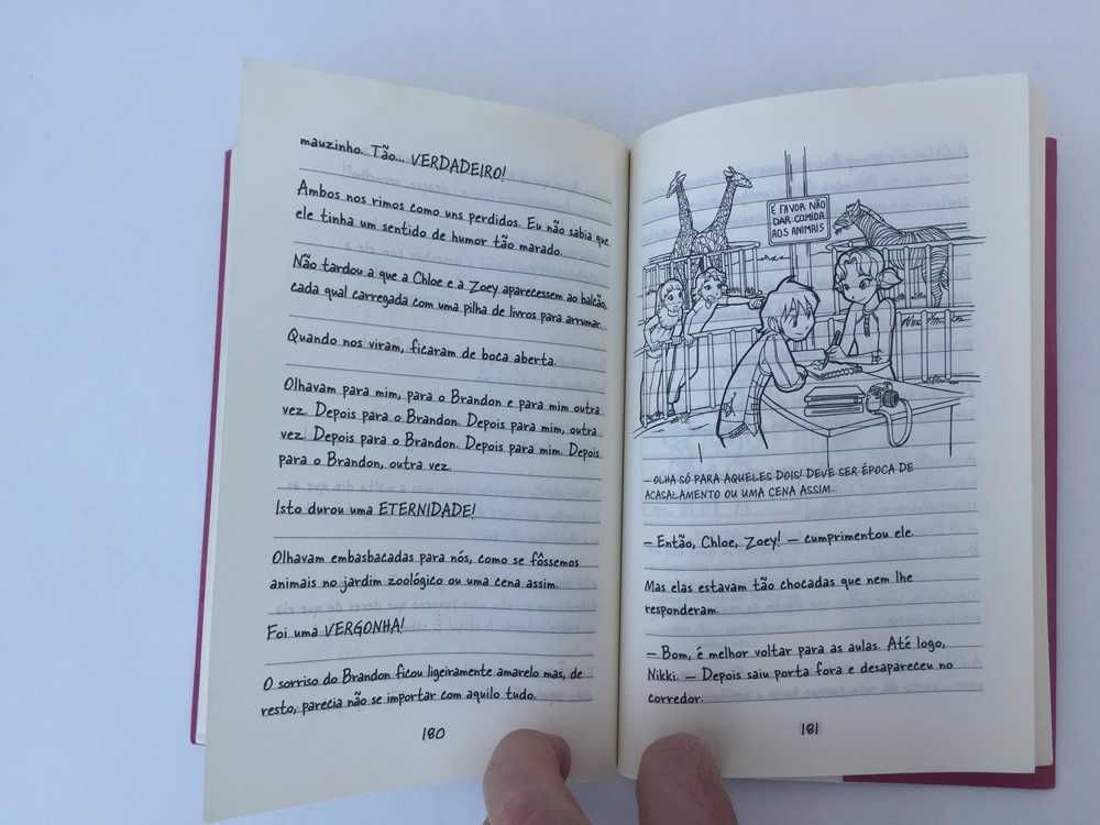 Livro Diário de uma Totó - Histórias deuma Vida POUCO ou NADA Fabulosa