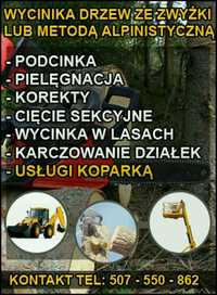 Wycinka podcinka drzew, usługi zwyżką, rębakiem- cały Śląsk
