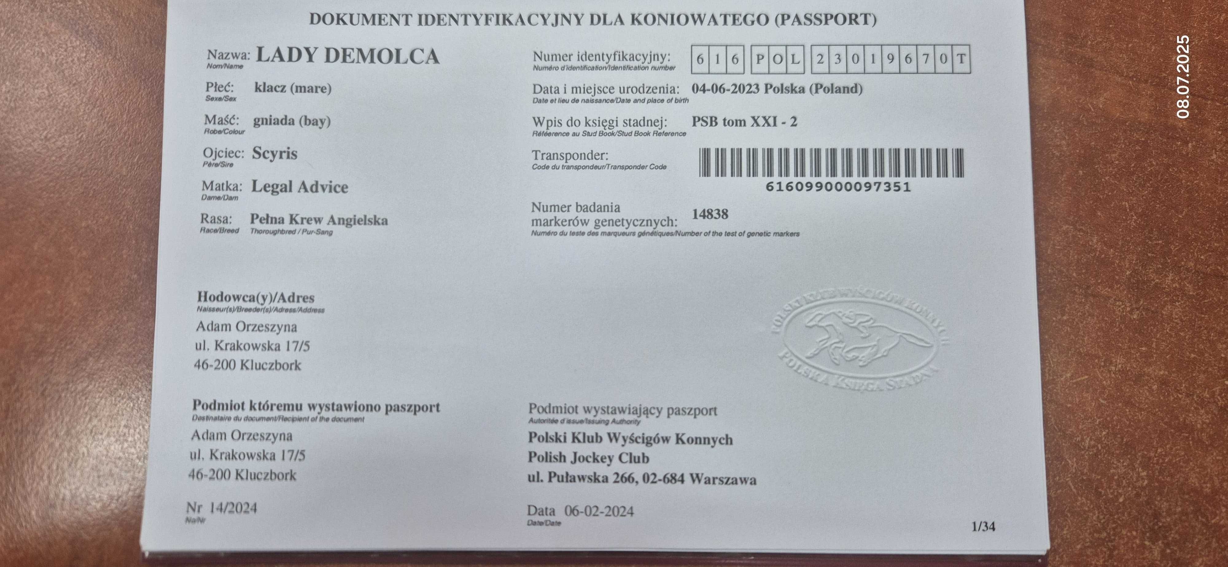 Sprzedam Klacze para matka i córka