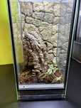 Terrarium 25x25x50 tło strukturalne