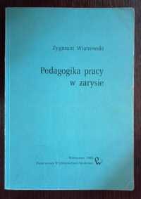 Pedagogika pracy w zarysie - Zygmunt Wiatrowski