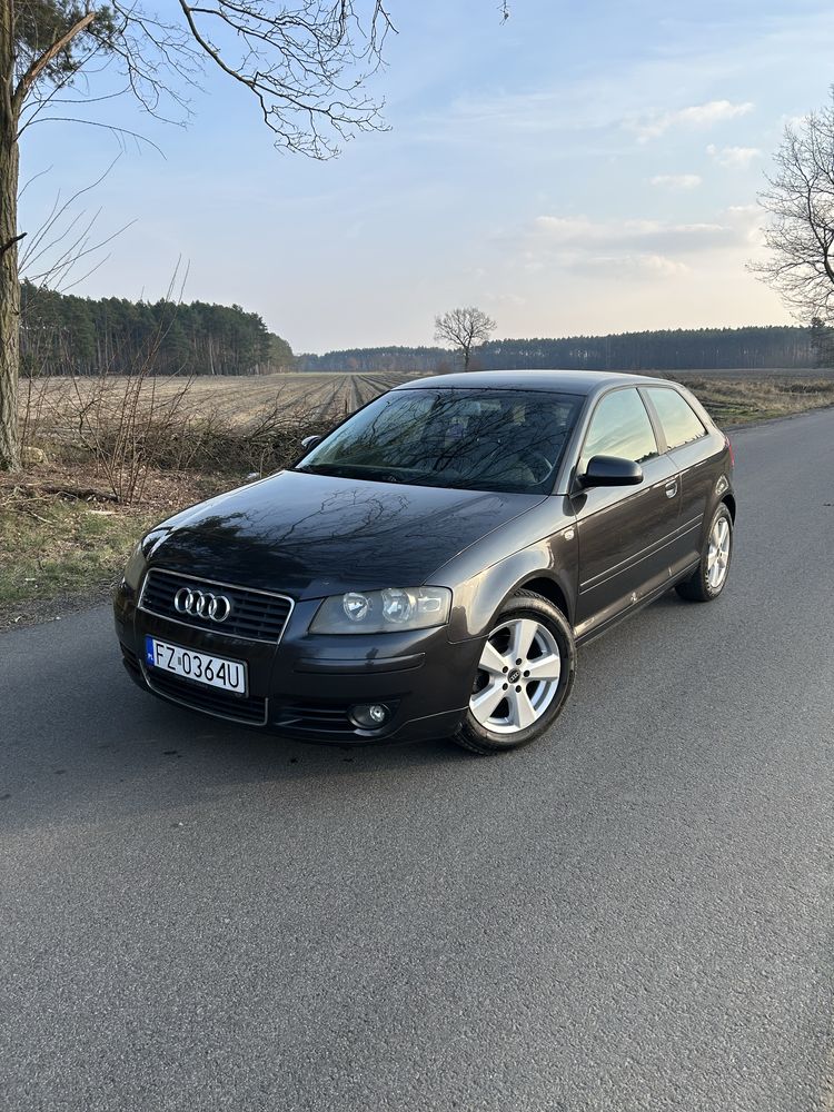 Audi a3 8P 1.9TDI