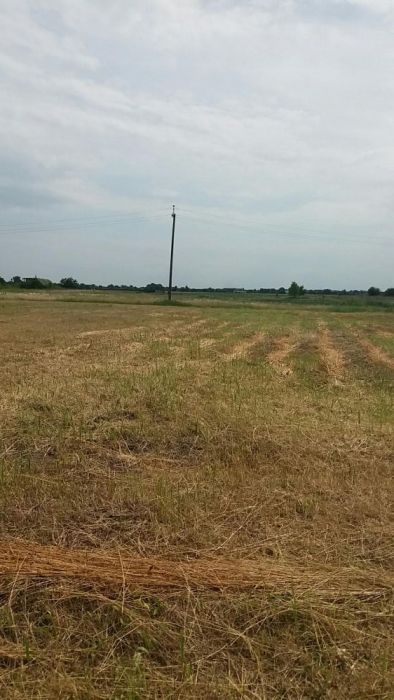 Земельна ділянка під будівництво, Бобровиця, участок для строительства