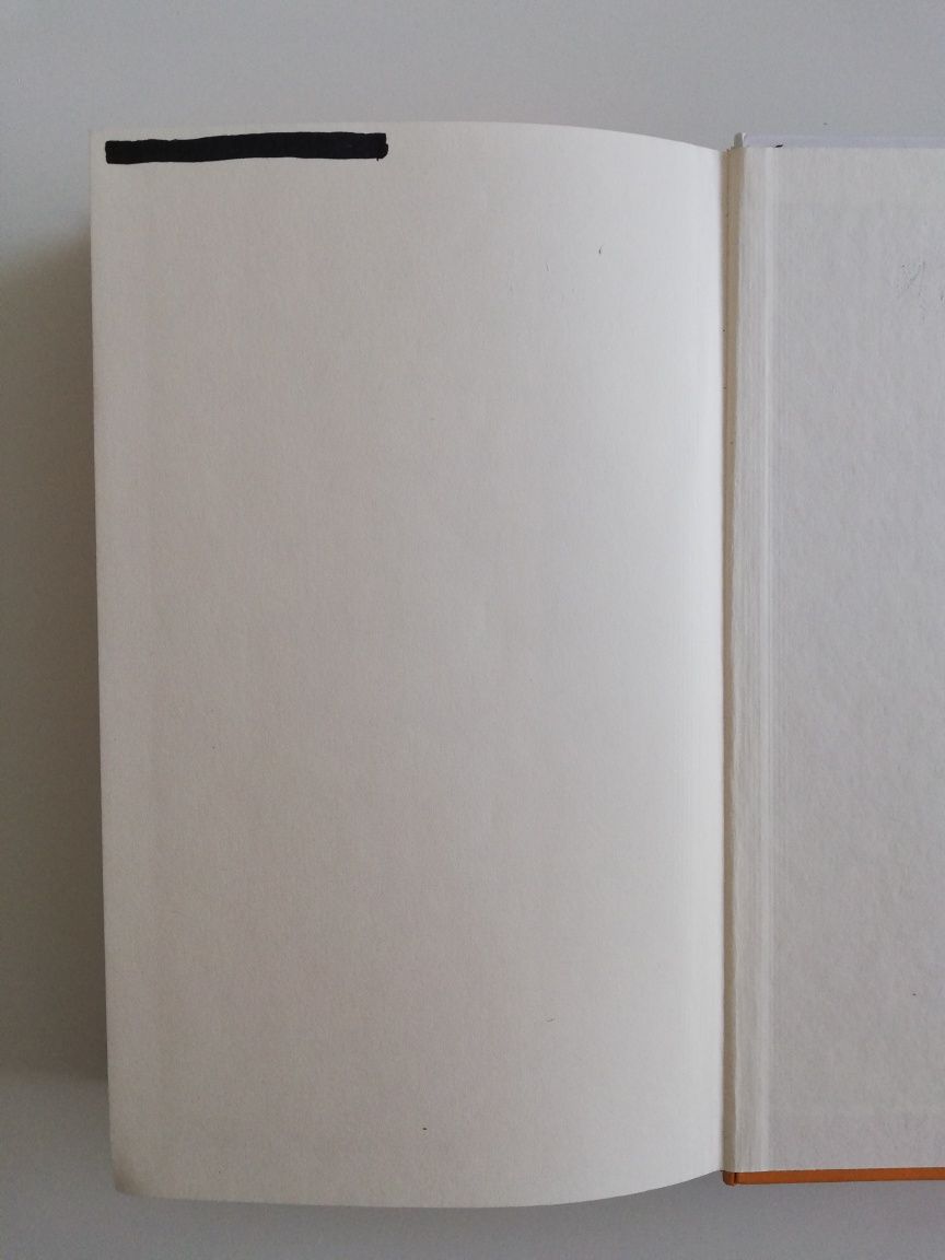 Dosięgnąć nieba. Richard Rayner