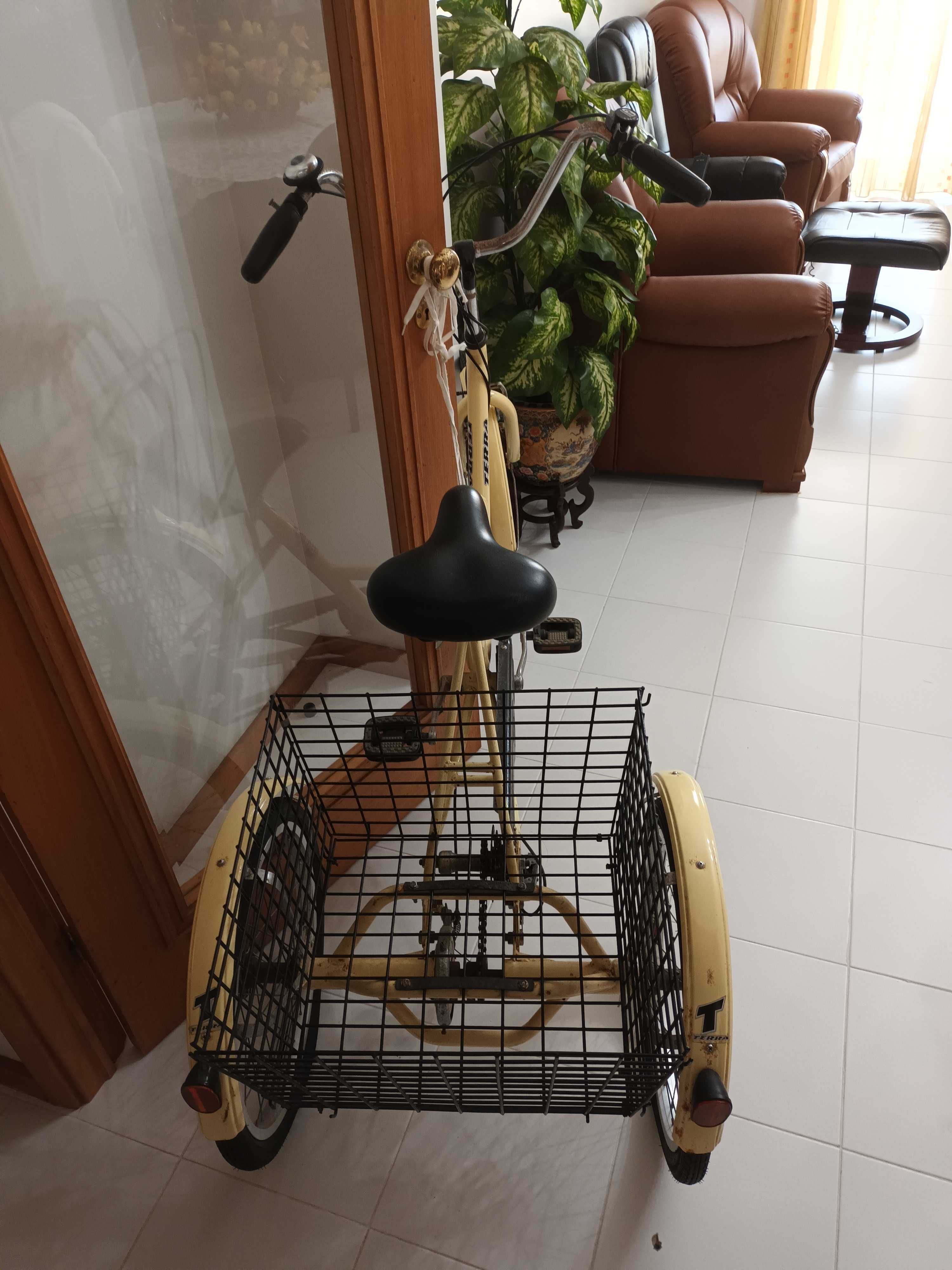 Bicicleta de 3 rodas com cesto