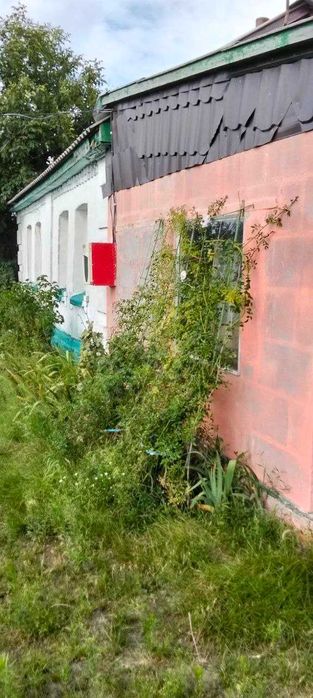 Продаж будинку в с.Феневичі Вишгородський р-н.