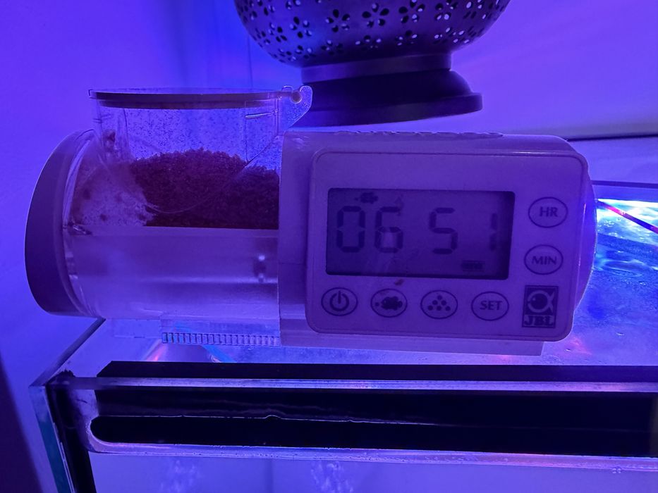 Aqua cubo complecto com peixes e armário