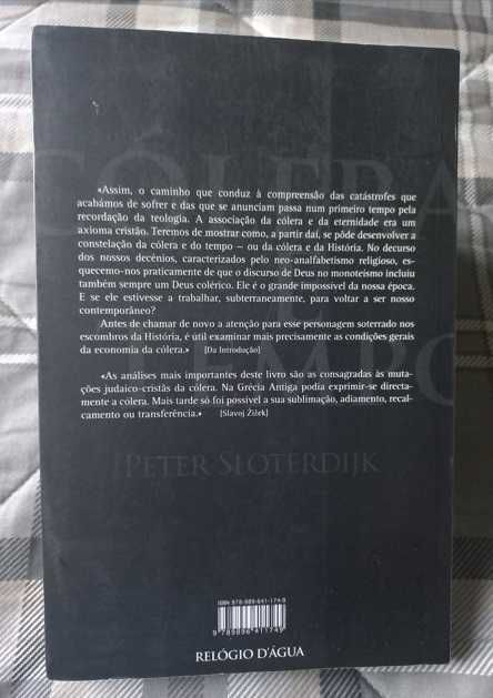 Cólera e Tempo - Peter Sloterdijk (Ensaio Político-Psicológico)