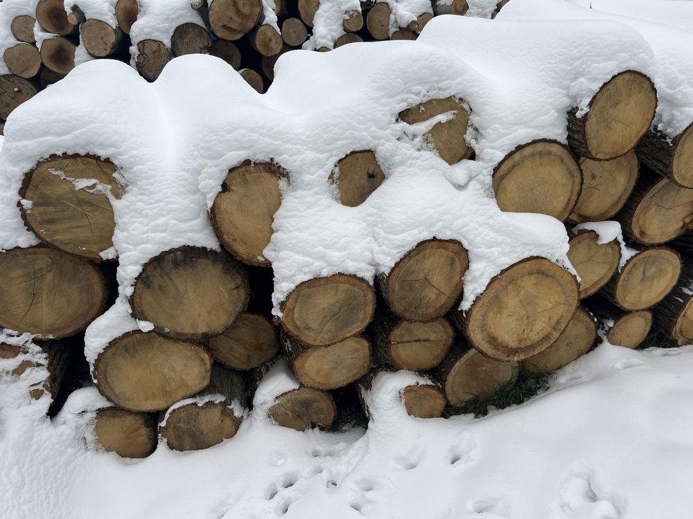 Drewno opałowe ceny od 200 zł