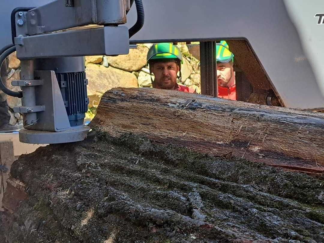 Trak taśmowy  duża głowica tnąca do 135 cm certyfikat CE TRAK-MET