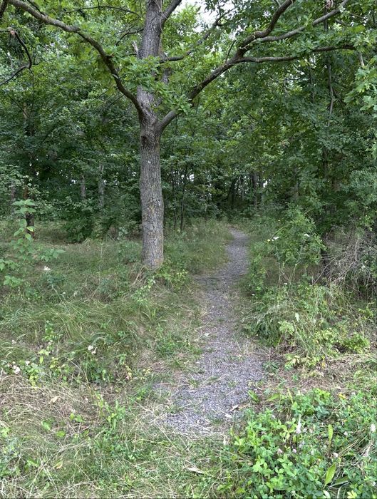 Земельна ділянка на Дністрі біля Куражина