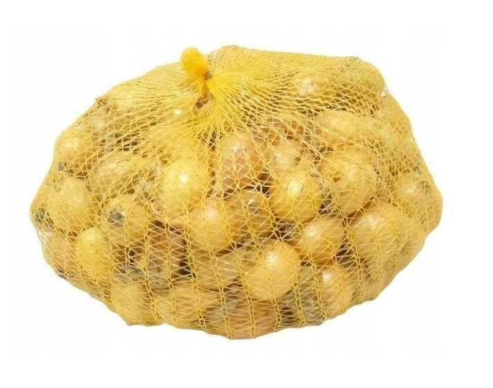 Cebula dymka zimowa Senshyu Yellow 5-20mm 1kg
