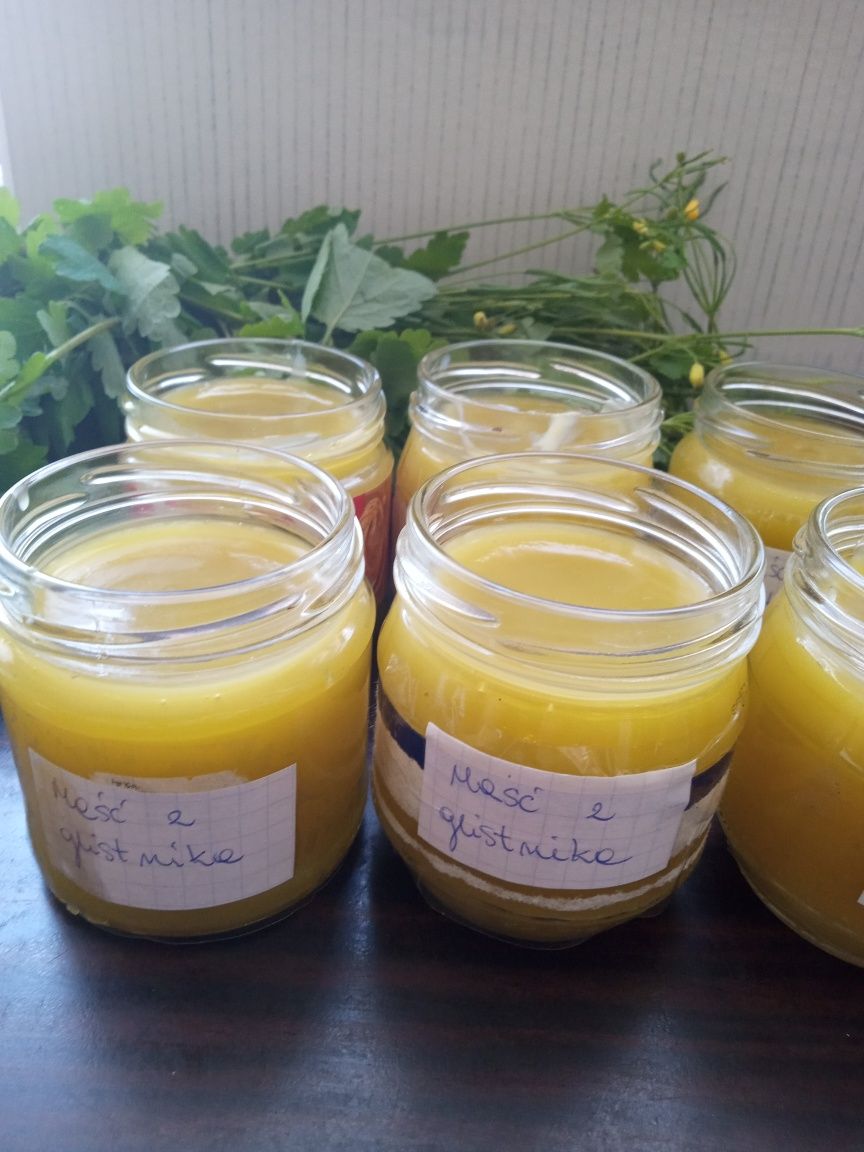 Maść z glistnika jaskółcze ziele