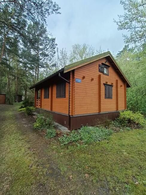 Wynajmę domek z działką do października