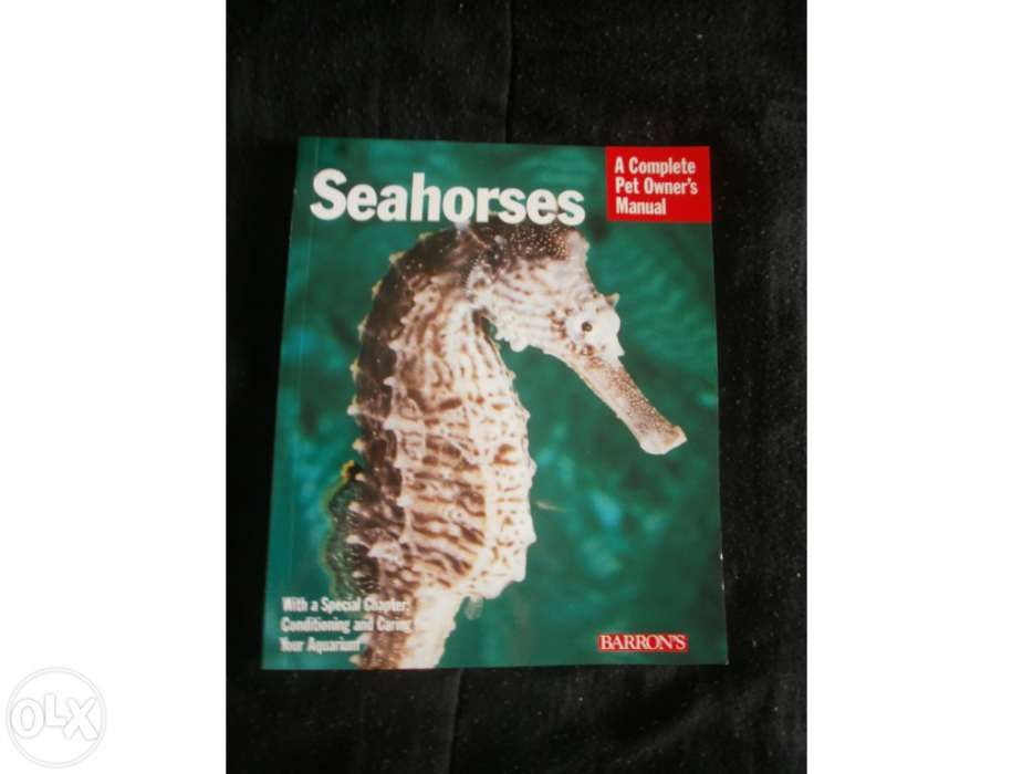 Livro "Seahorses" (Cavalos Marinhos)
