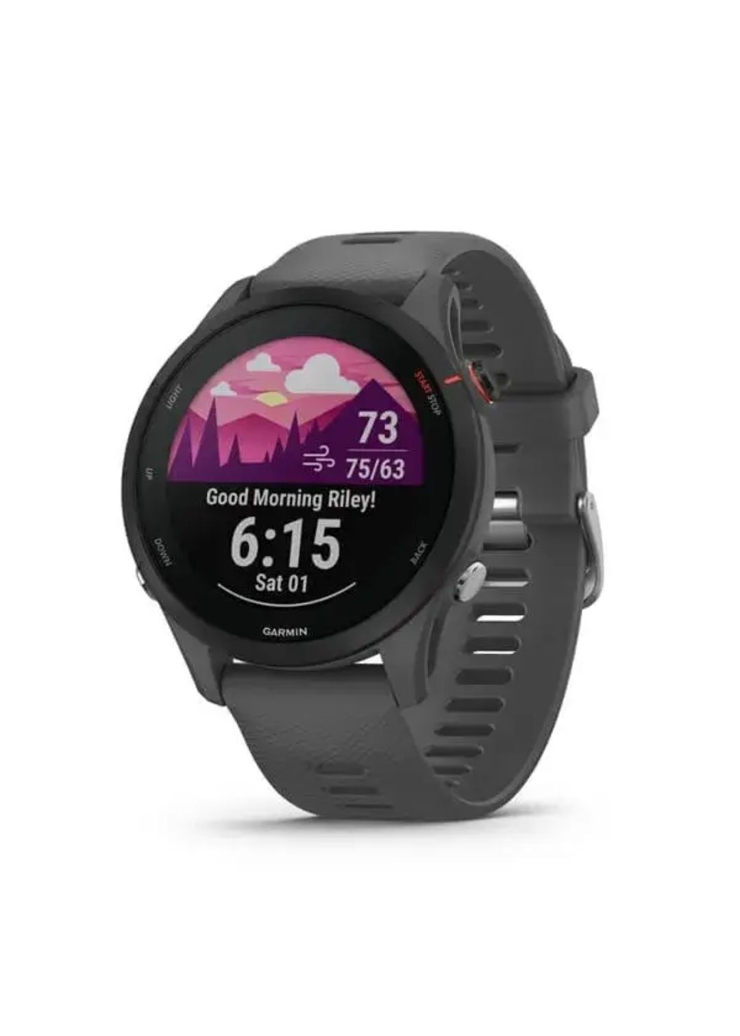 GARMIN Forerunner 255 сланцево-сірий