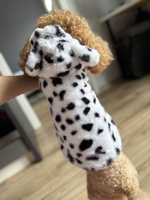 Dalmatyńska kurteczka dla pieska (rozmiar M)