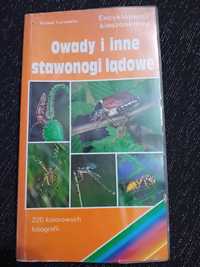 Owady i inne stawonogi lądowe, encyklopedia kieszonkowa.