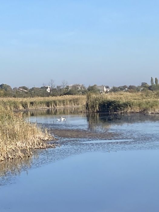 У продажу земельна ділянка, перша ліния річки, с.Піщанка,