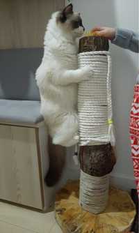 Drapak dla kotów ręcznie wykonany
