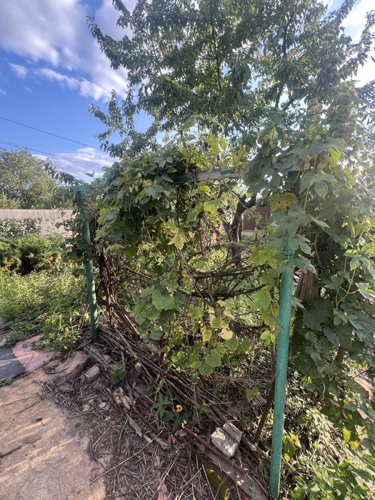 Продам участок дачу РТС хорошее место 4000$