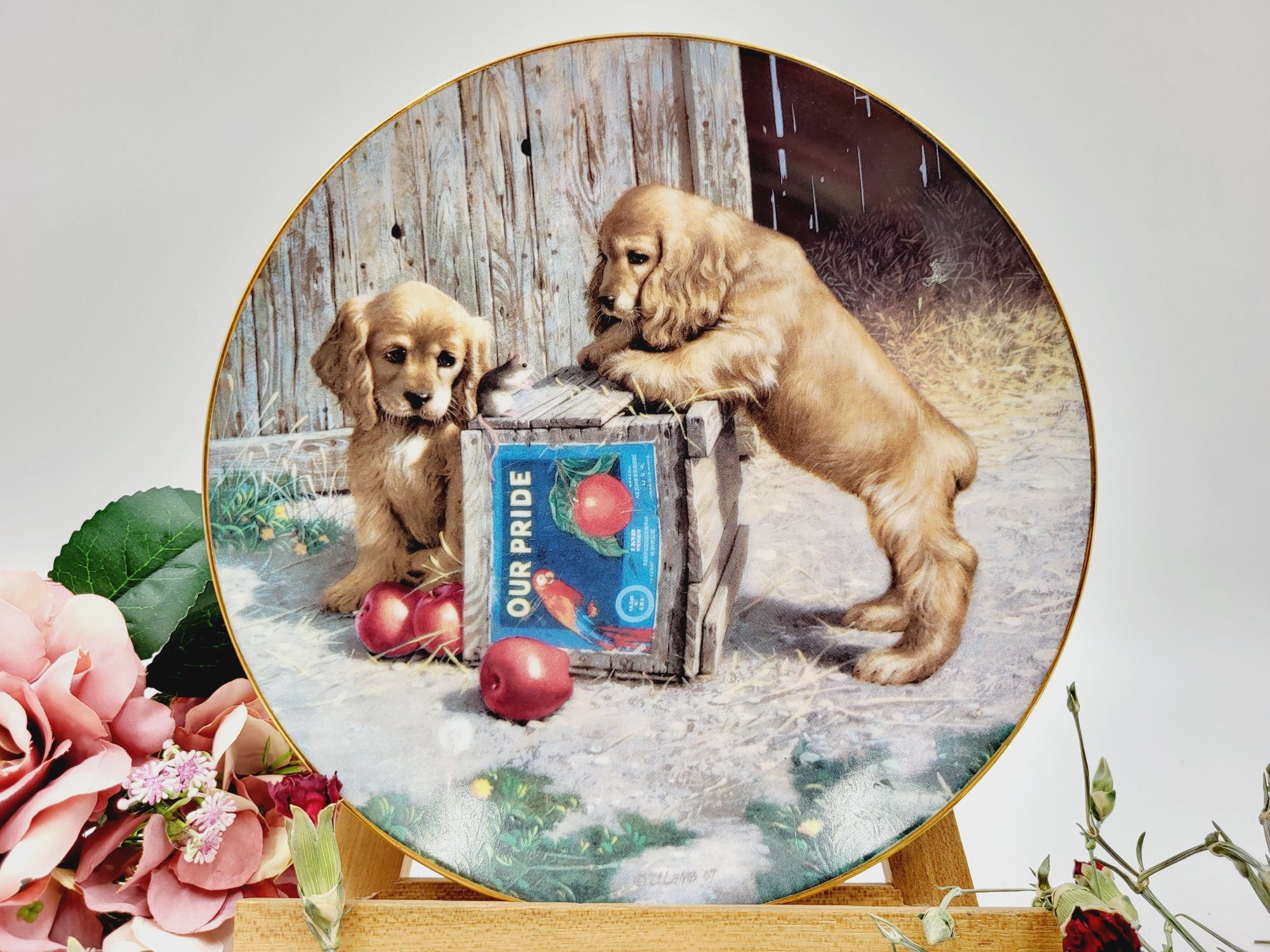 Ładny dekoracyjny porcelanowy talerz z motywem psów