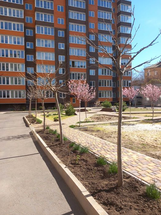 квартиру в новом доме