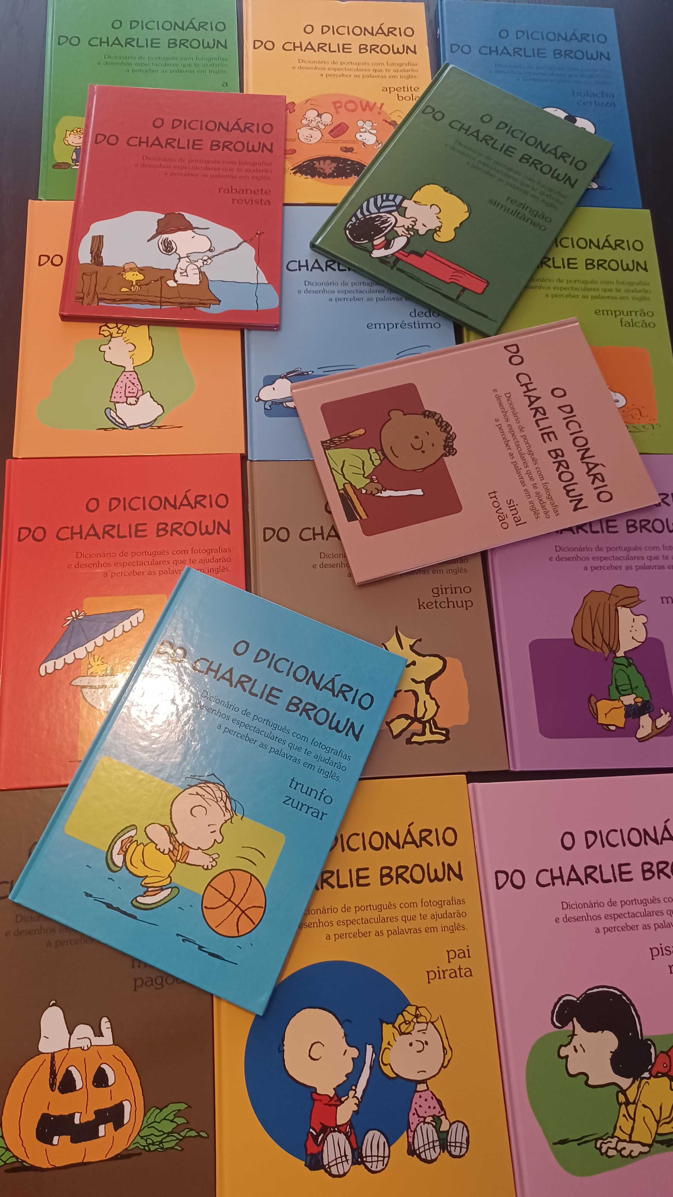 Dicionário Português Charlie Brown- 16 livros