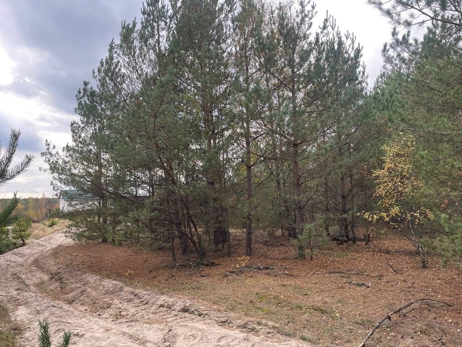 Продається земельна ділянка в с. Абрамівка, Київська область