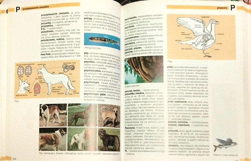 Podręczny ilustrowany leksykon ucznia