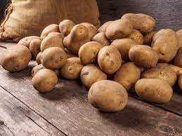 ziemniaki jadalne