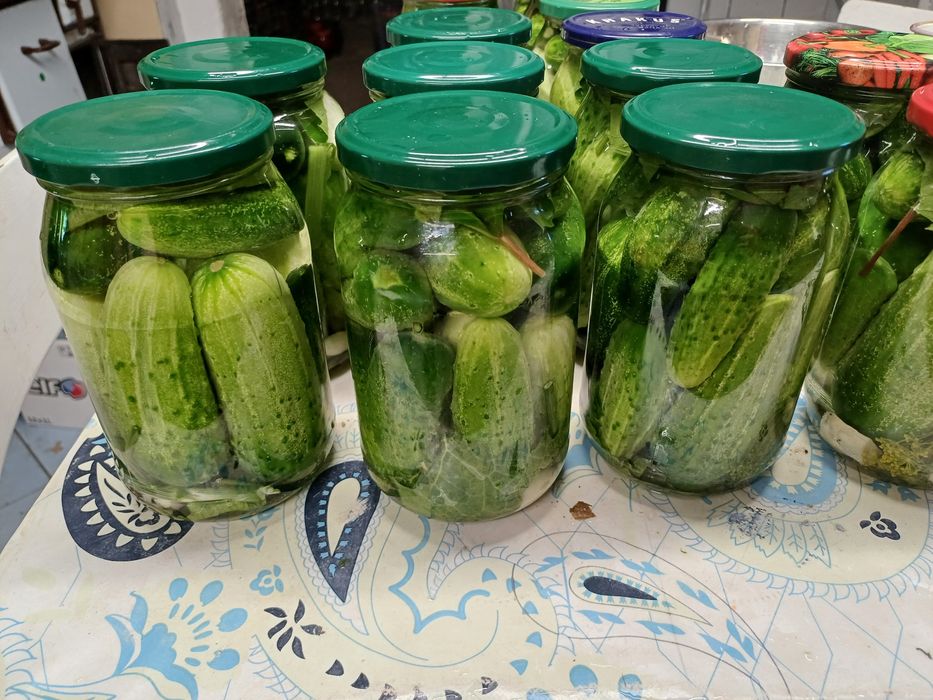 Warzywa-buraki,czosnek,pomidory,cebula,marchew