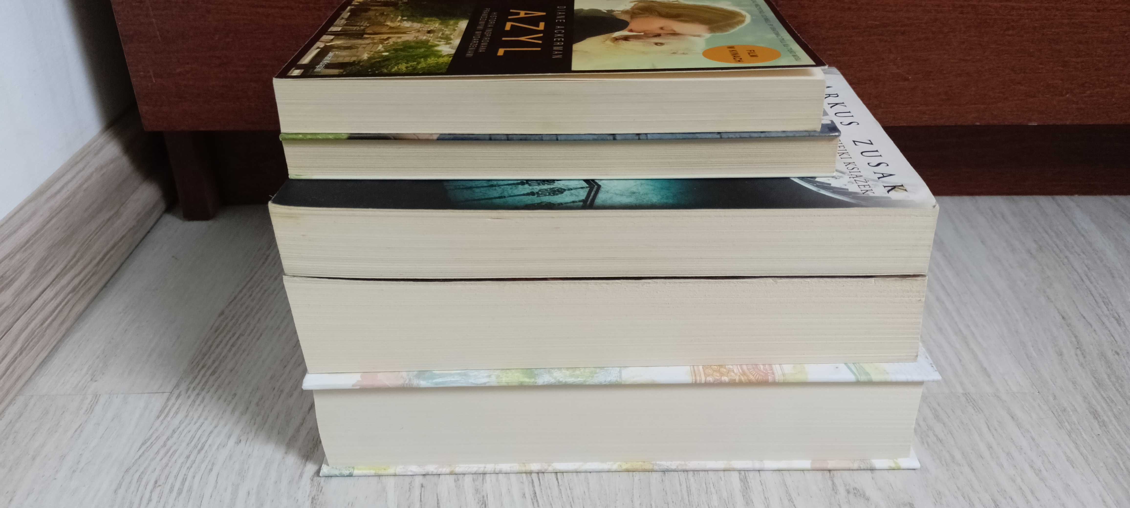 5 Zusak Złodziejka książek Posłaniec Gliniany most Ackerman Azyl Boyne