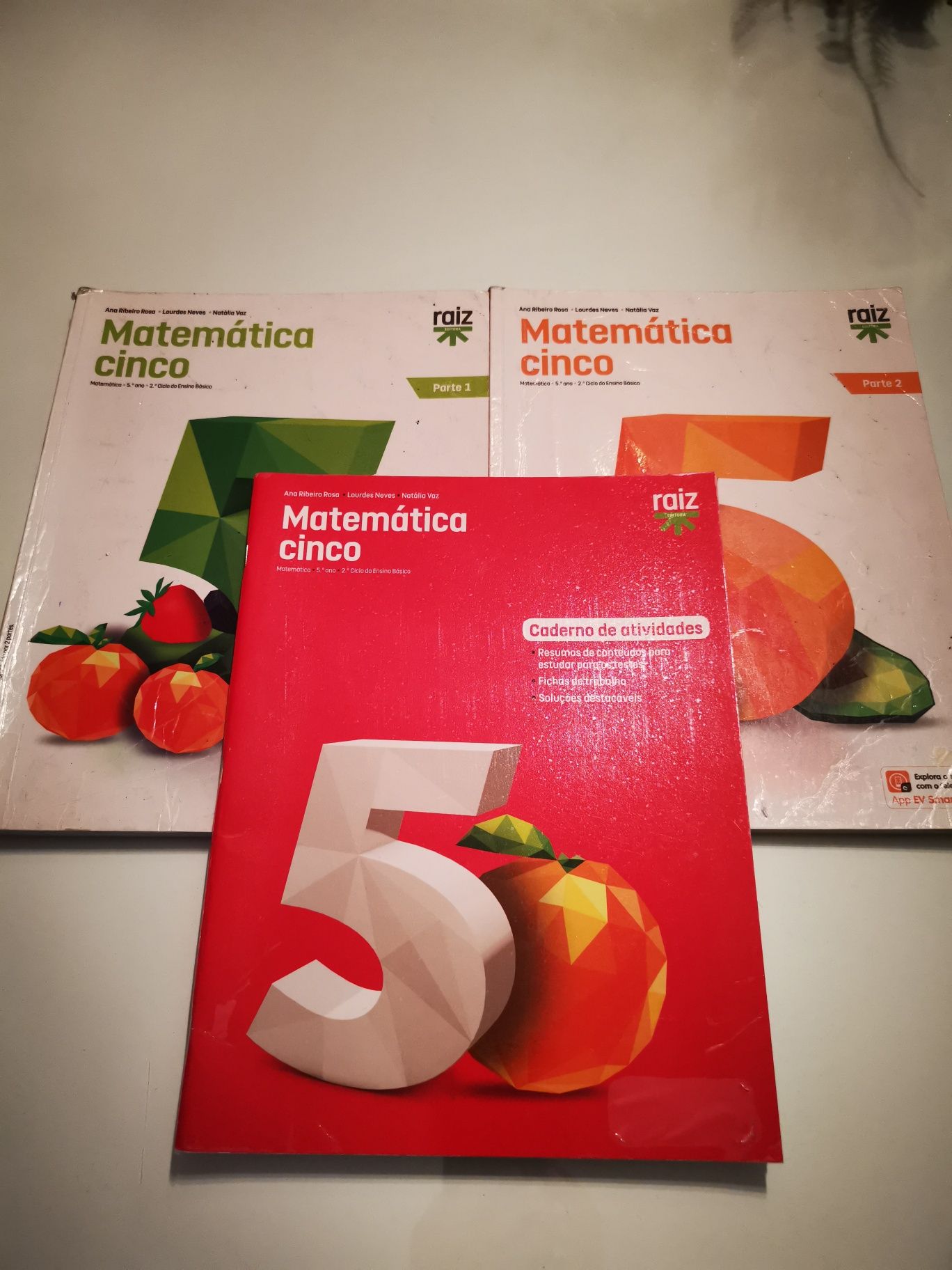 Manual Matemática 5 + caderno de atividadesRaiz Editora